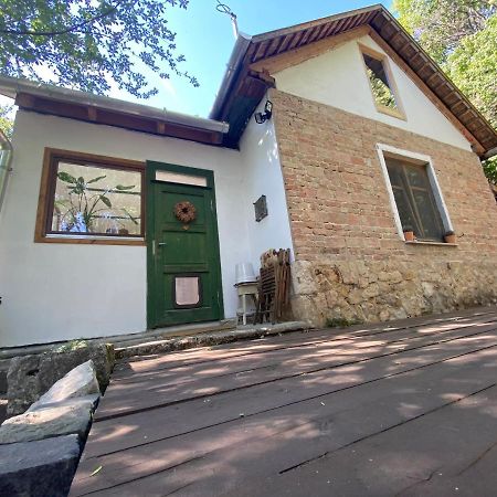 Rustic Cottage & Garden Retreat On Buda Hilltop Budapest Luaran gambar
