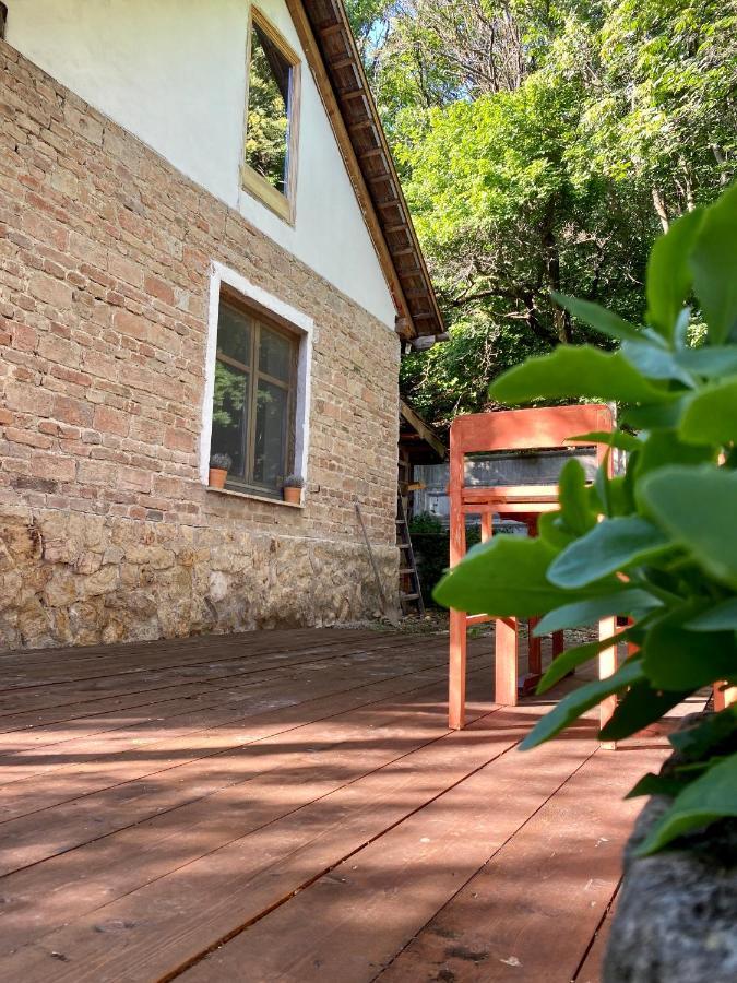 Rustic Cottage & Garden Retreat On Buda Hilltop Budapest Luaran gambar