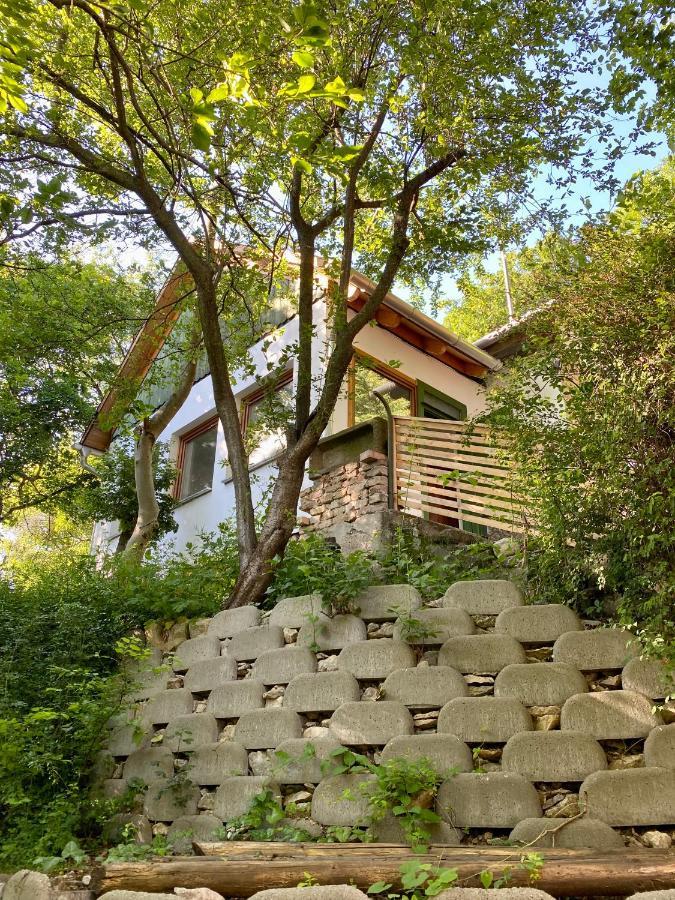 Rustic Cottage & Garden Retreat On Buda Hilltop Budapest Luaran gambar