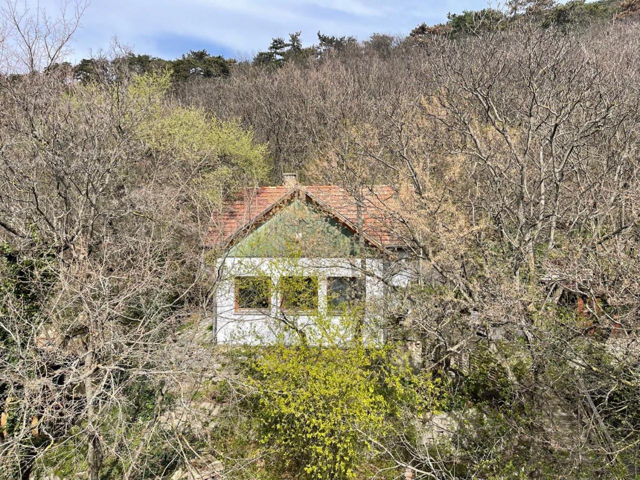 Rustic Cottage & Garden Retreat On Buda Hilltop Budapest Luaran gambar
